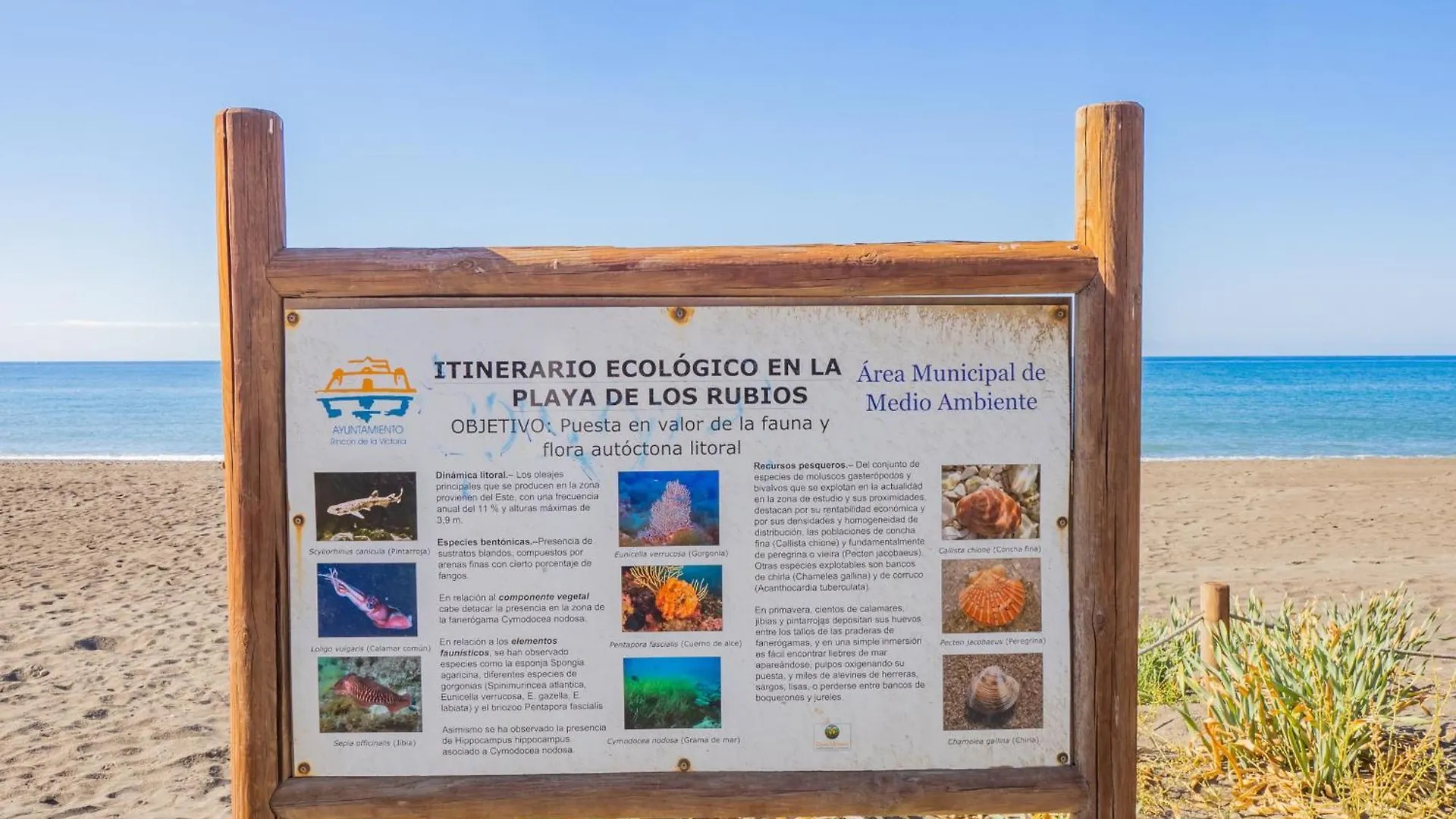 Affittacamere Cubo'S Hostal William'S Sunny 5 Torre de Benagalbon